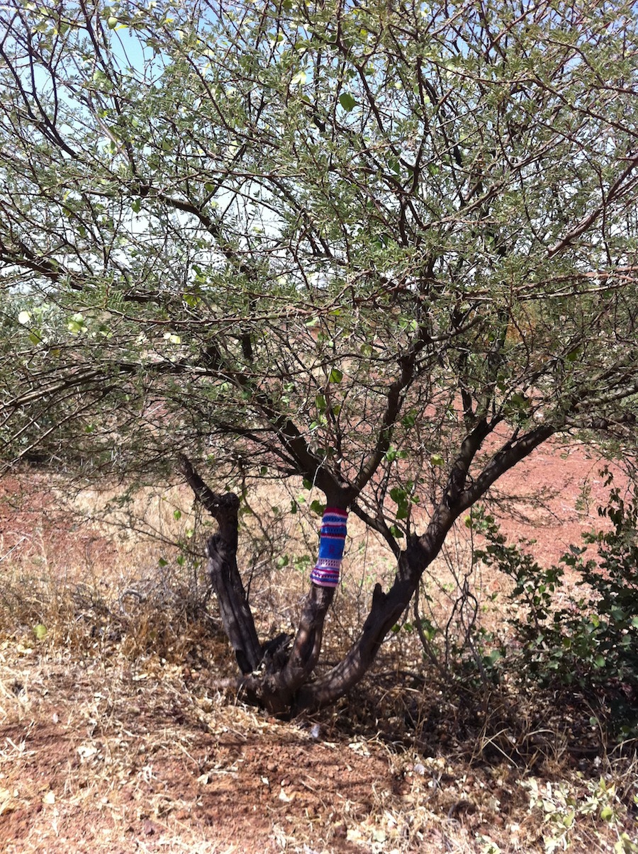 Yarn Bombing in Mali