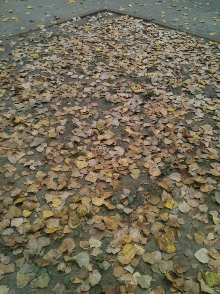 Autunno